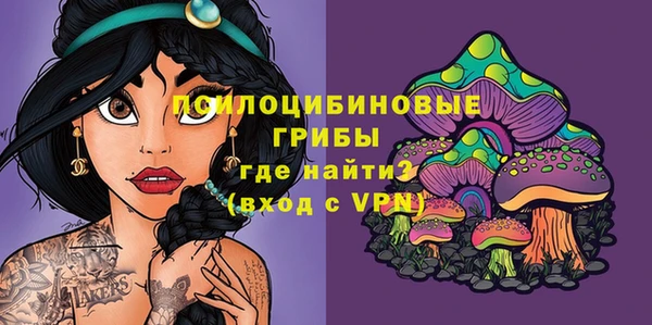 a pvp Ростов