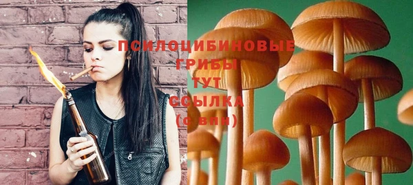 сатива Балабаново