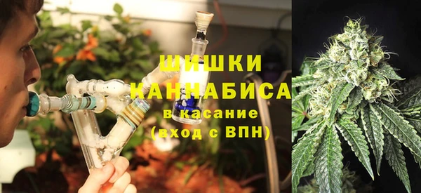 сатива Балабаново